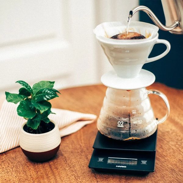 Сервірувальний чайник Hario V60 Glass Server XGSR-60-TB фото