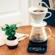 Сервірувальний чайник Hario V60 Glass Server XGSR-60-TB фото 3