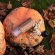 Ручна кавомолка Comandante C40 MK4 Virginia Walnut 3308 фото 8